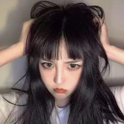 柏伊启