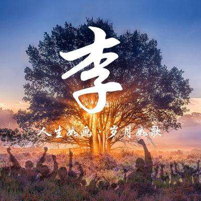 舆论漩涡里的网红小英：平日仍干农活