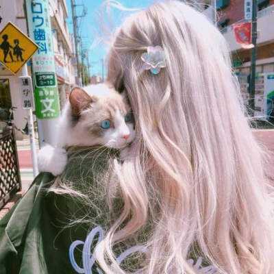 吉祥彩票登录手机版网址APP