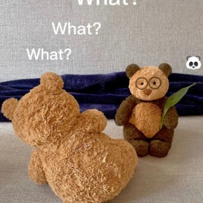致敬功勋模范 弘扬英雄精神