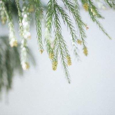 防疫、天气……重要提醒，事关“双节”