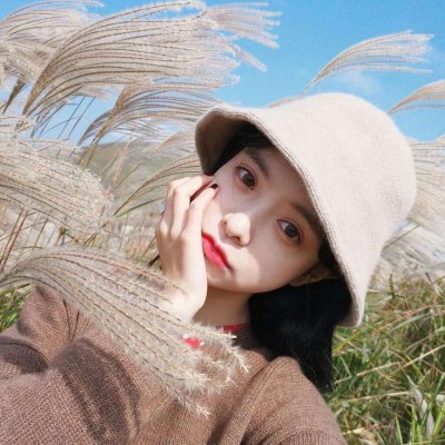 习近平出席中非合作论坛北京峰会开幕式并发表主旨讲话