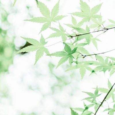 权威访谈：如何拓展我国数字经济发展新空间？