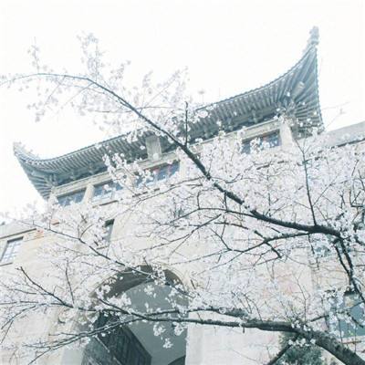 德比一边倒？数据示国米全面碾压有望七擒米兰