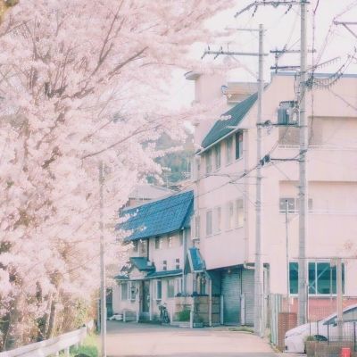 特岗教师蹲点日记三｜把家和心都留在了农村学校