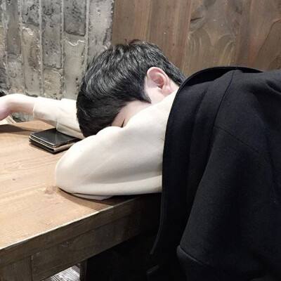 兔子视频大全