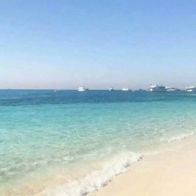 加拿大2.88预测网