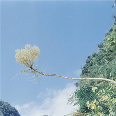 大发APP在线地址