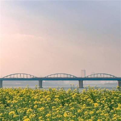 国家队参赛2024环崇明岛女子公路自行车世巡赛10月开赛