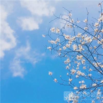 厦门彩民喜获1052万元大奖 助力公益建设爱心厦门
