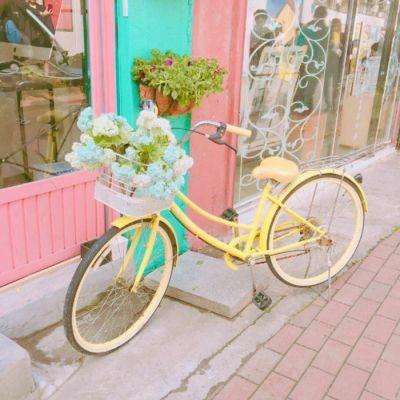 安川机器人全新综合目录正式发布