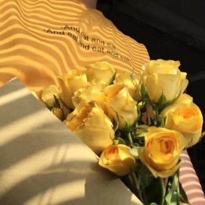 美印日澳领导人呼吁乌克兰和平但未提俄罗斯