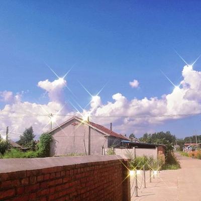 菜市场兴起新业态（纵横）