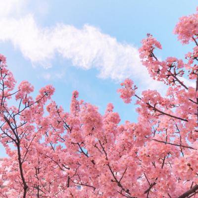 www.456446.com截图0