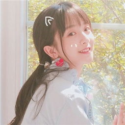 V9.65官方版本