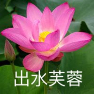 报告：鲁苏粤数字城市竞争力持续领跑全国