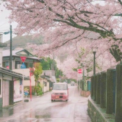 V9.65官方版本