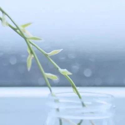 试驾|深蓝L07年轻定位家庭用户，搭载华为乾崑智驾