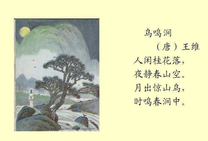 2 年，200 个项目，2000 个订阅 ：《野鱼志》读者互动活动