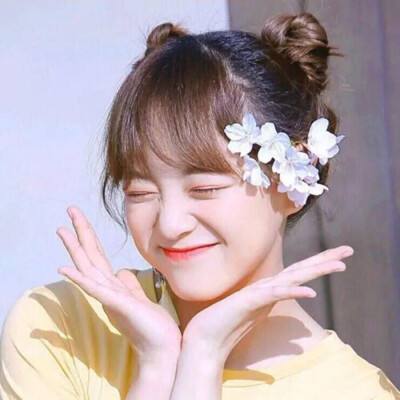 彩乐园手机版