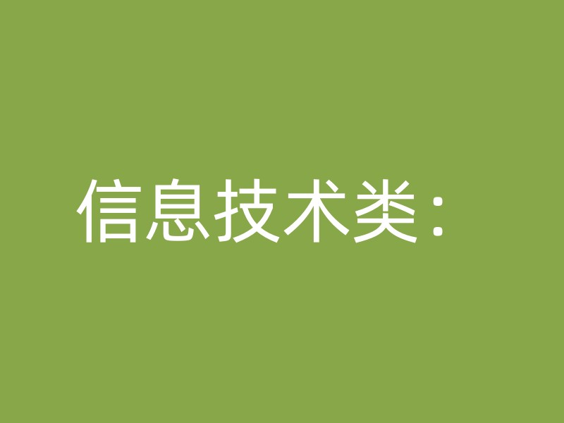 信息技术类：