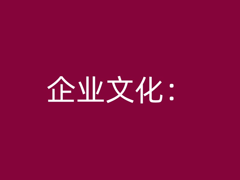 企业文化：