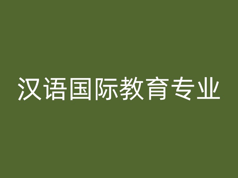 汉语国际教育专业