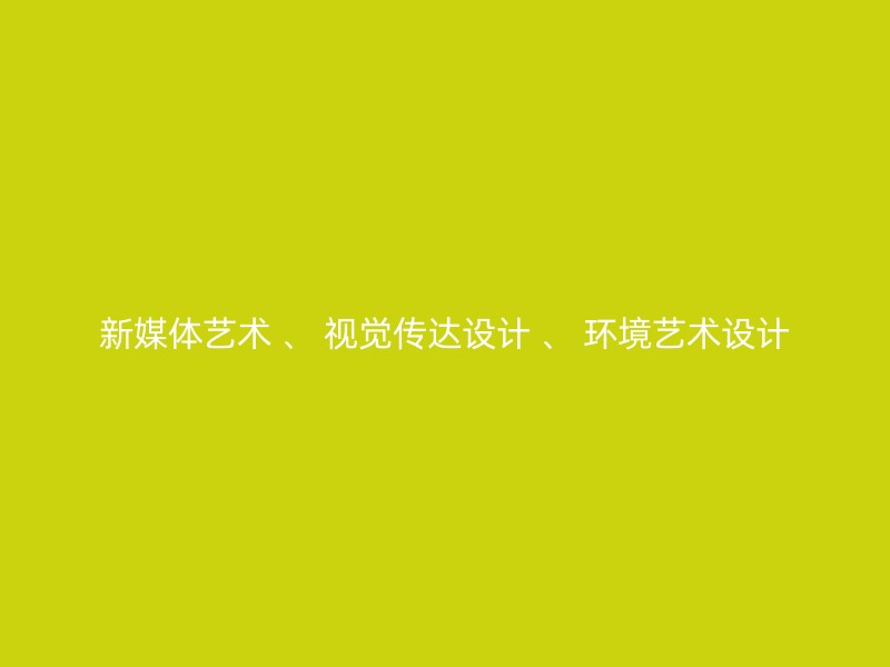 新媒体艺术 、 视觉传达设计 、 环境艺术设计