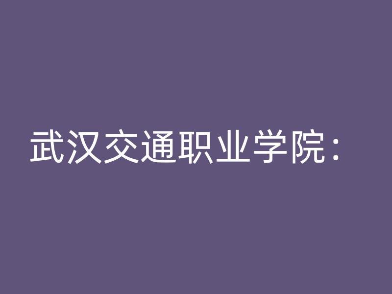 武汉交通职业学院：