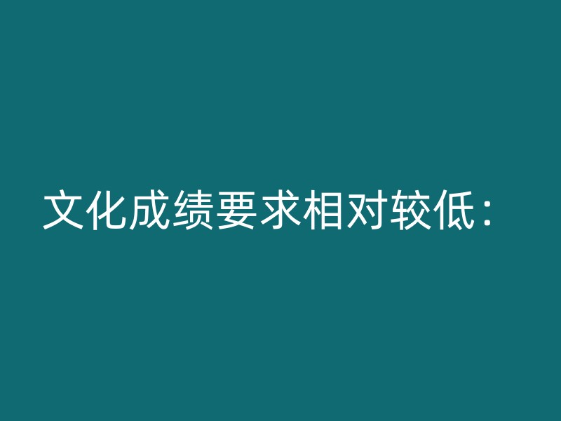 文化成绩要求相对较低：