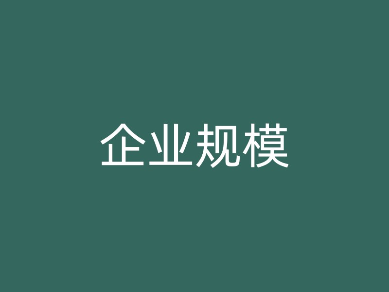 企业规模