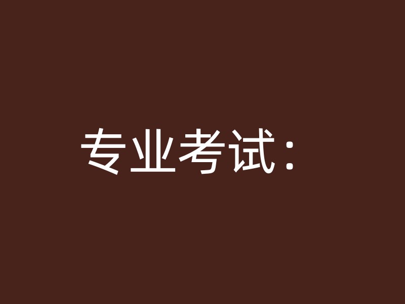 专业考试：