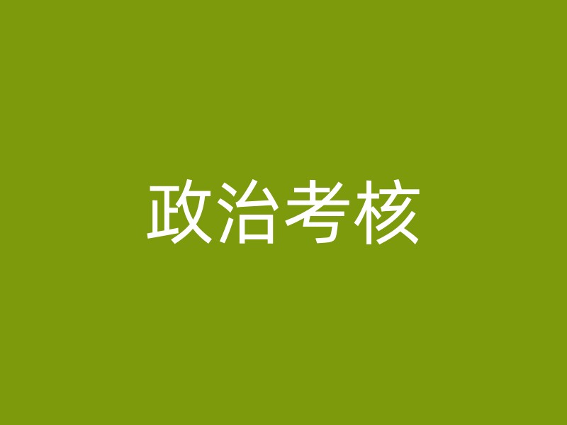 政治考核