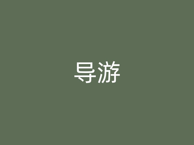 导游