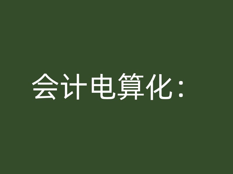 会计电算化：