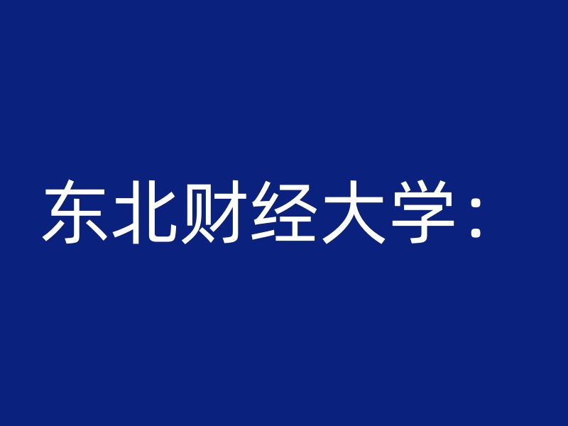 东北财经大学：