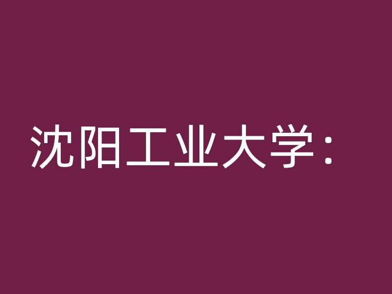 沈阳工业大学：