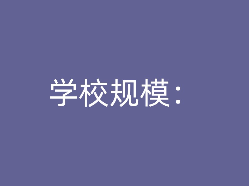 学校规模：