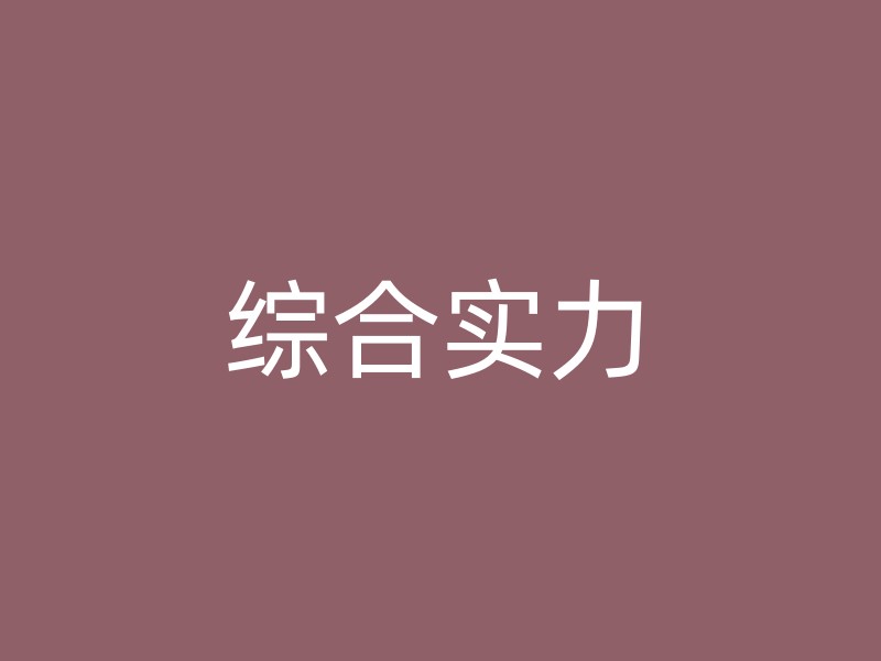 综合实力