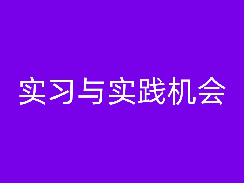 实习与实践机会