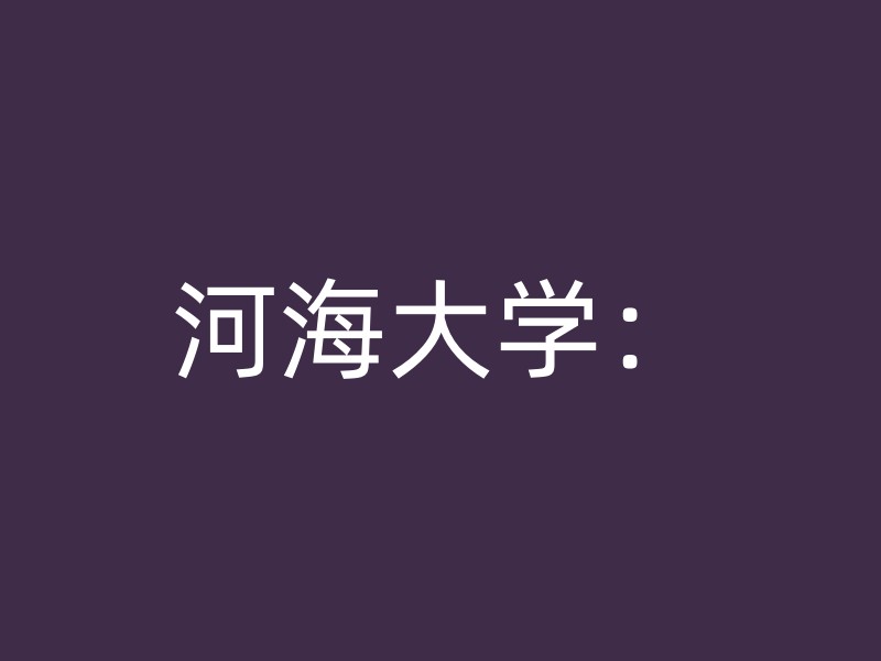 河海大学：