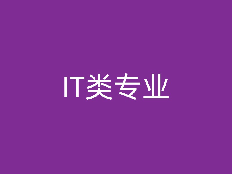 IT类专业