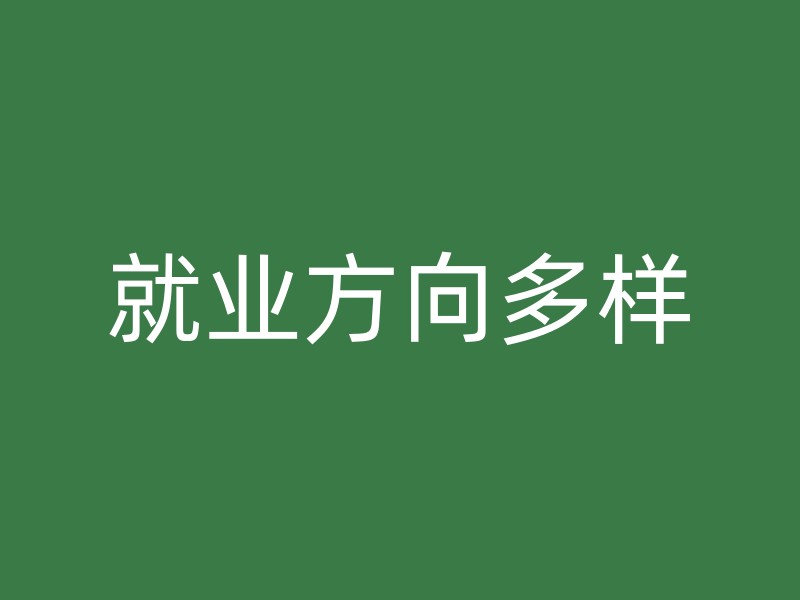 就业方向多样