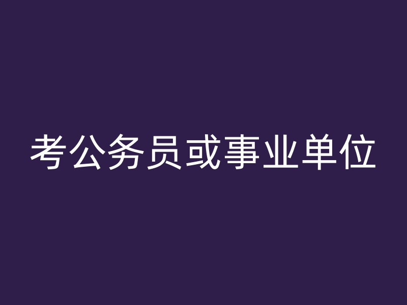 考公务员或事业单位