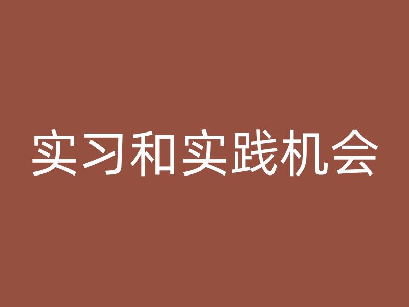 实习和实践机会