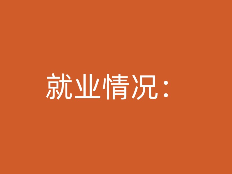 就业情况：