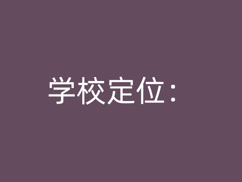 学校定位：