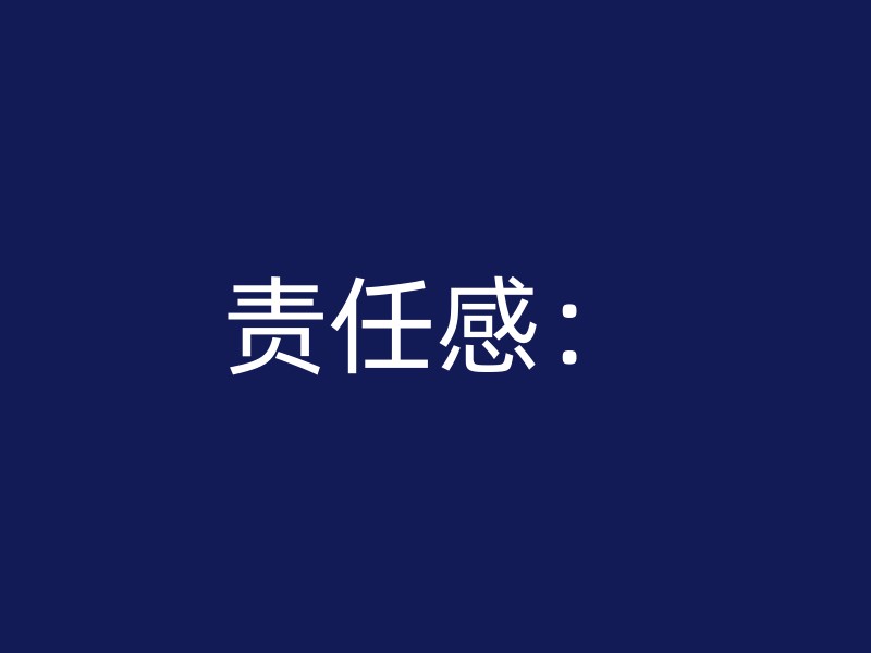 责任感：