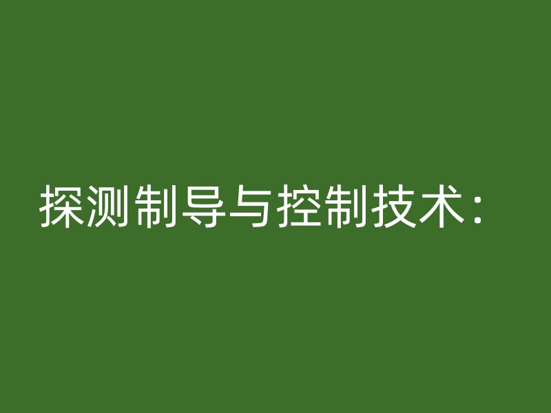 探测制导与控制技术：