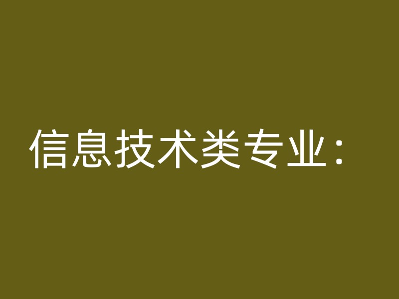 信息技术类专业：